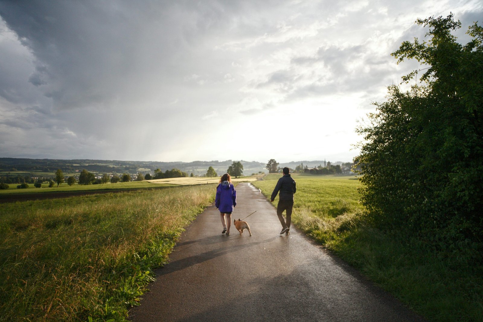 Walking: The Most Underrated Fitness Tool, Explained