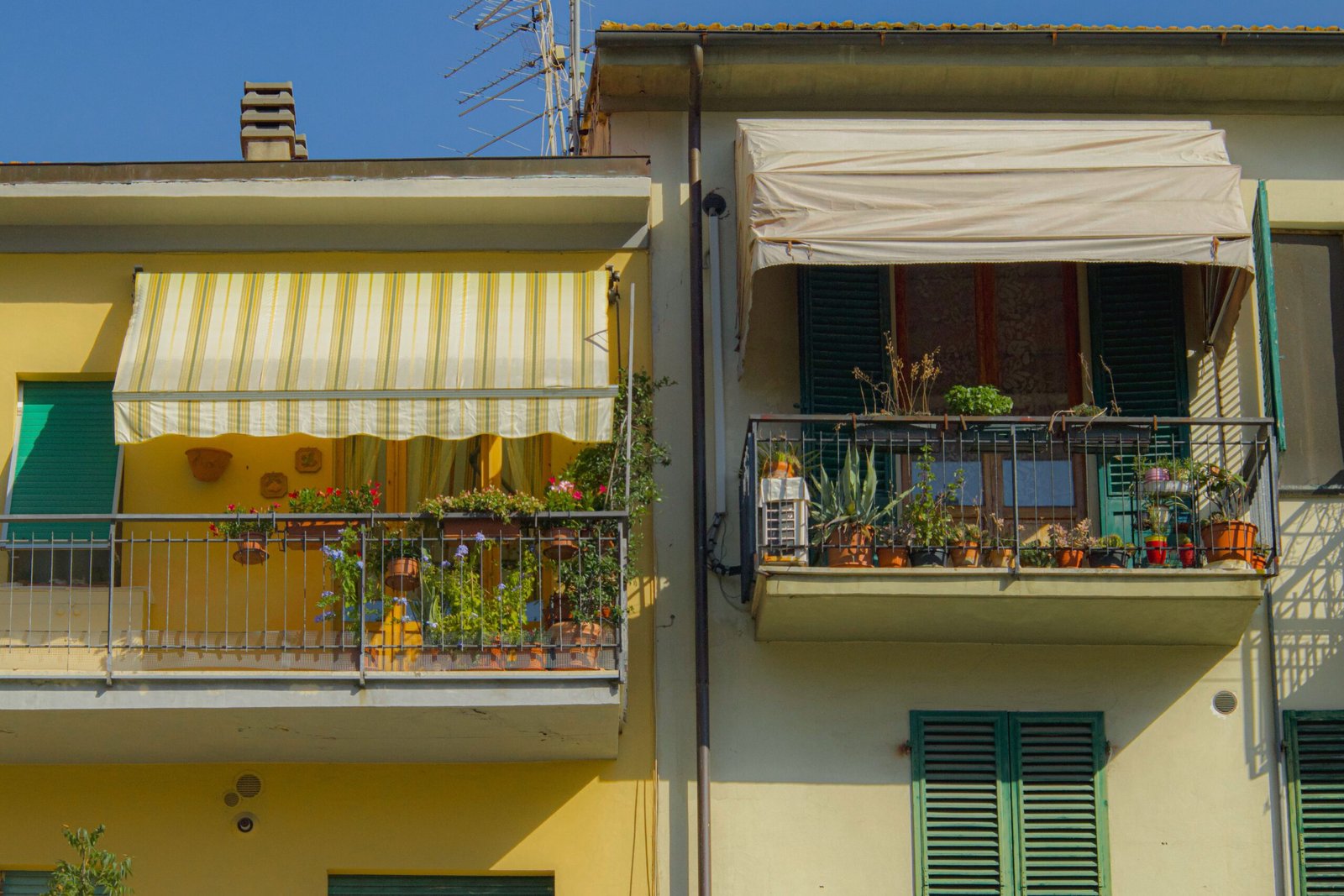 Growing Food in Small Spaces: A Complete Guide